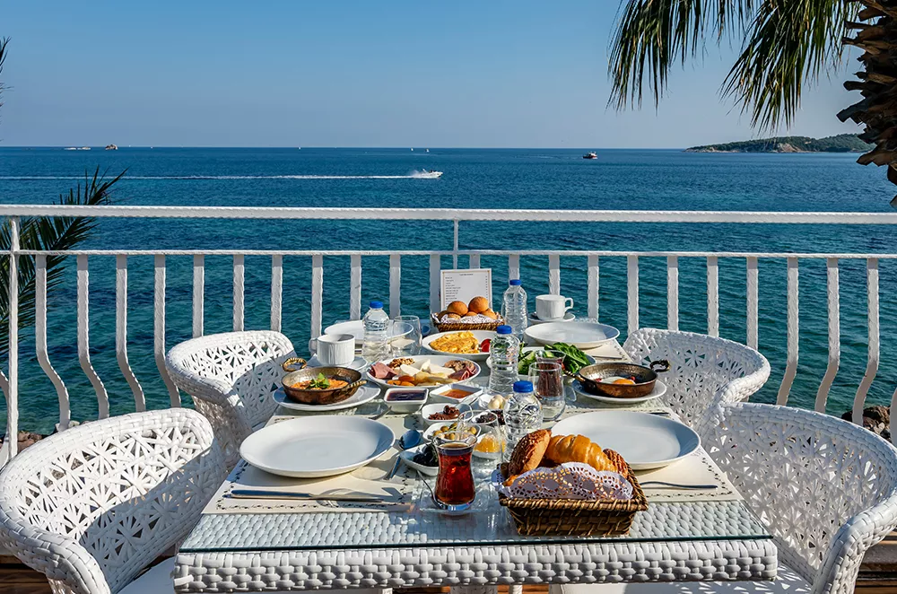Palm Terrace
